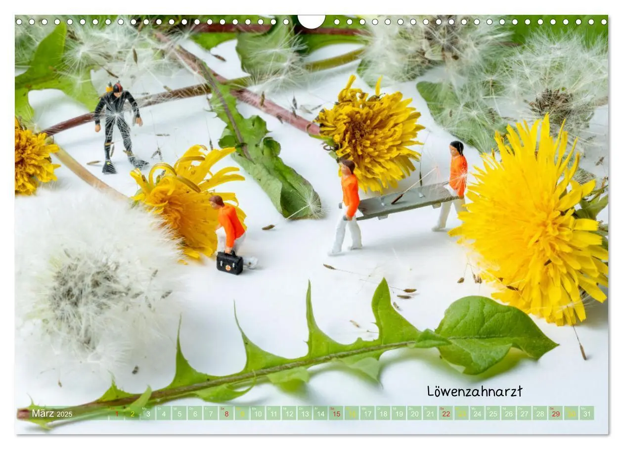 Bild: 9783383863509 | Mandelentzündung ... und andere Mini-Welten (Wandkalender 2025 DIN...