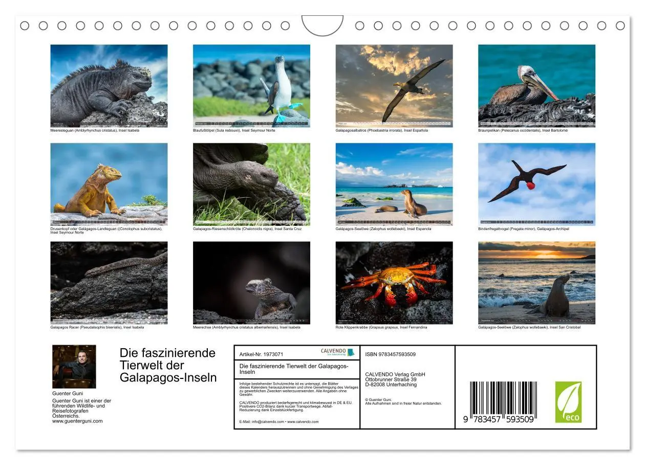 Bild: 9783457593509 | Die faszinierende Tierwelt der Galapagos-Inseln (Wandkalender 2026...