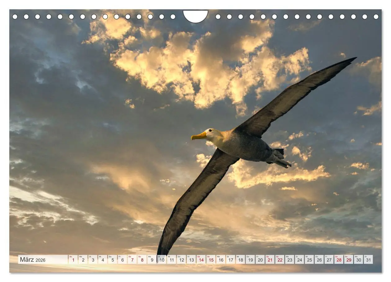 Bild: 9783457593509 | Die faszinierende Tierwelt der Galapagos-Inseln (Wandkalender 2026...