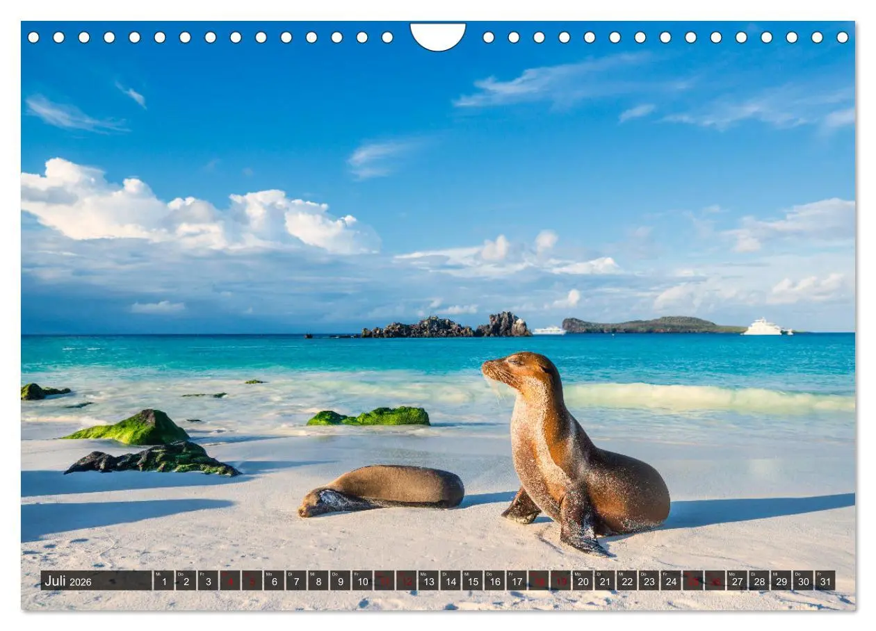 Bild: 9783457593509 | Die faszinierende Tierwelt der Galapagos-Inseln (Wandkalender 2026...
