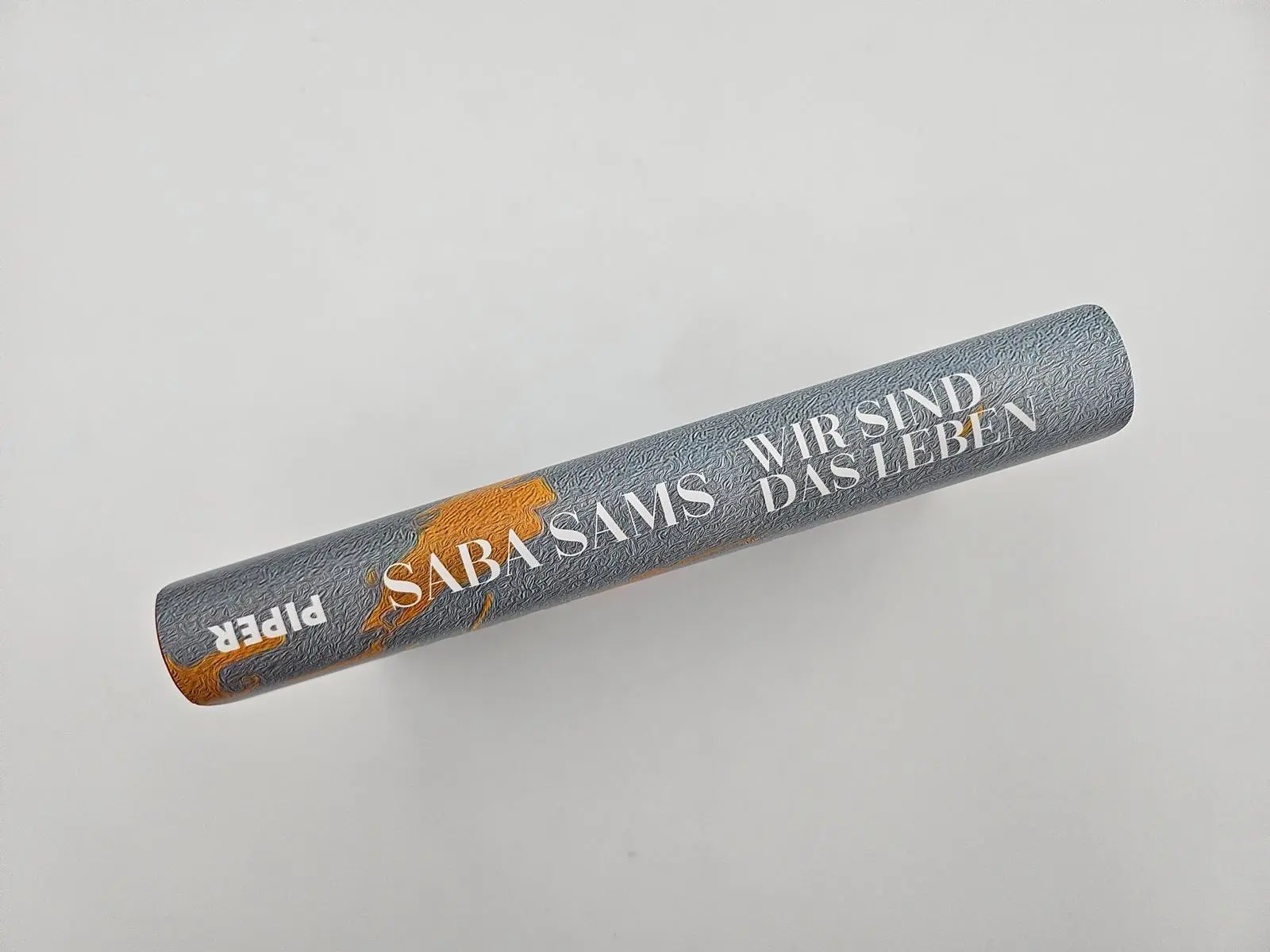 Bild: 9783492073509 | Wir sind das Leben | Roman Best of Young British Novelists (Granta)