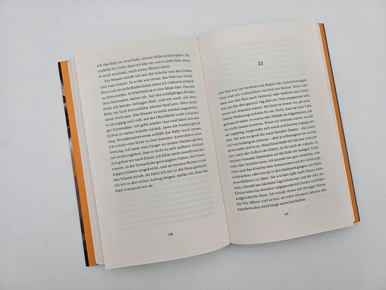 Bild: 9783492073509 | Wir sind das Leben | Roman Best of Young British Novelists (Granta)