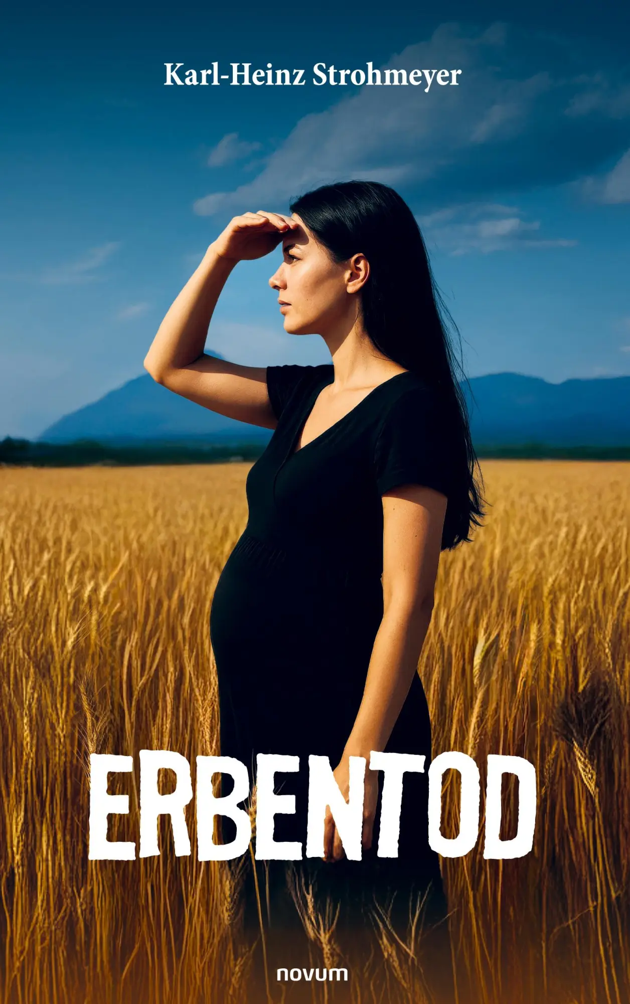 Cover: 9783711613509 | Erbentod | Karl-Heinz Strohmeyer | Taschenbuch | Deutsch | 2025