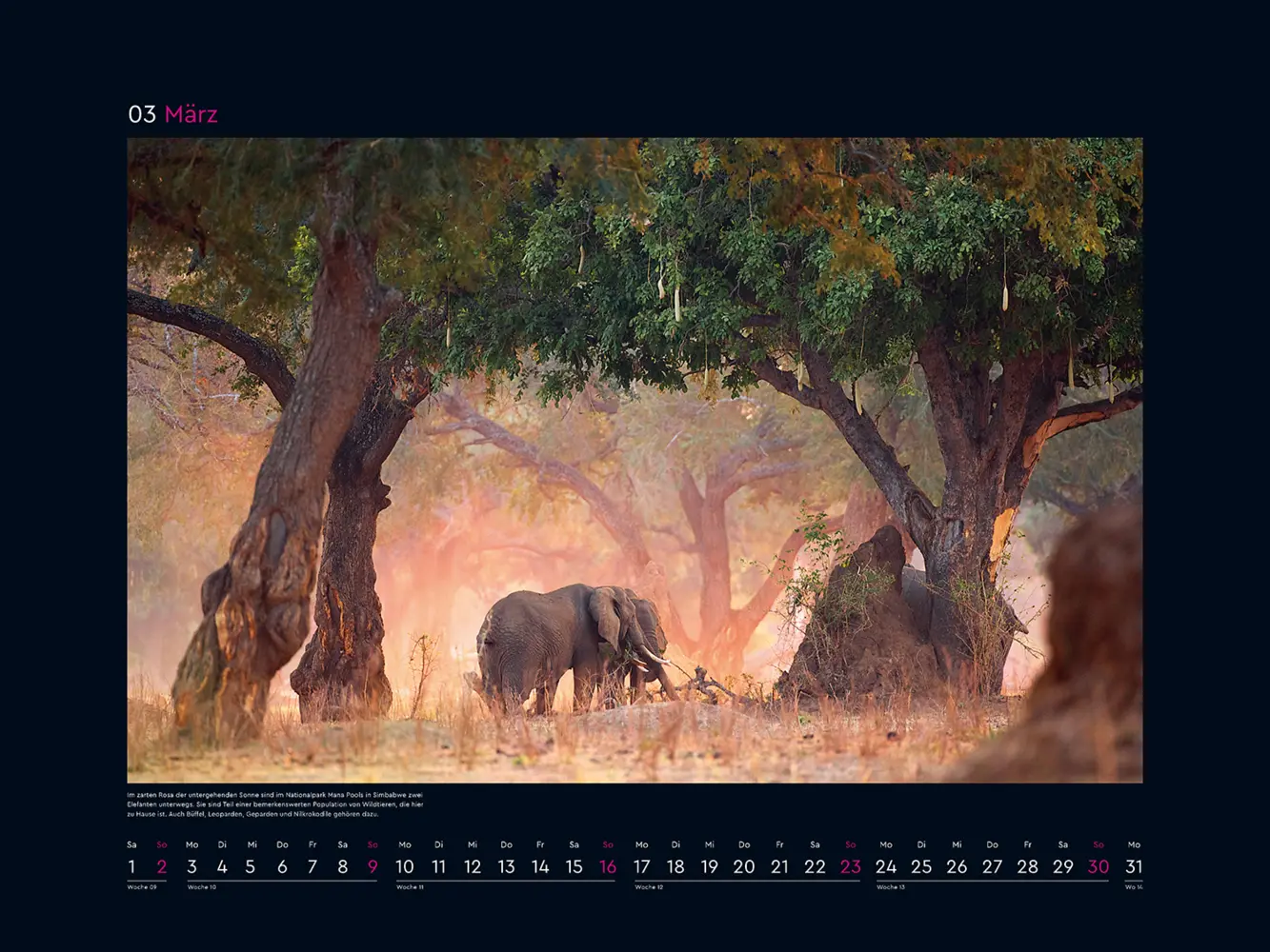 Bild: 9783965913509 | Das Naturerbe der Welt - KUNTH Wandkalender 2025 | Kalender | Deutsch