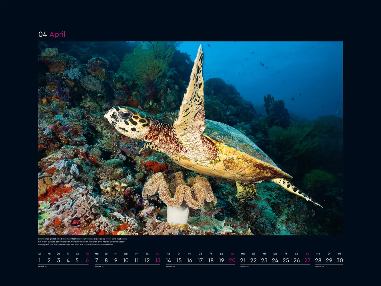 Bild: 9783965913509 | Das Naturerbe der Welt - KUNTH Wandkalender 2025 | Kalender | Deutsch