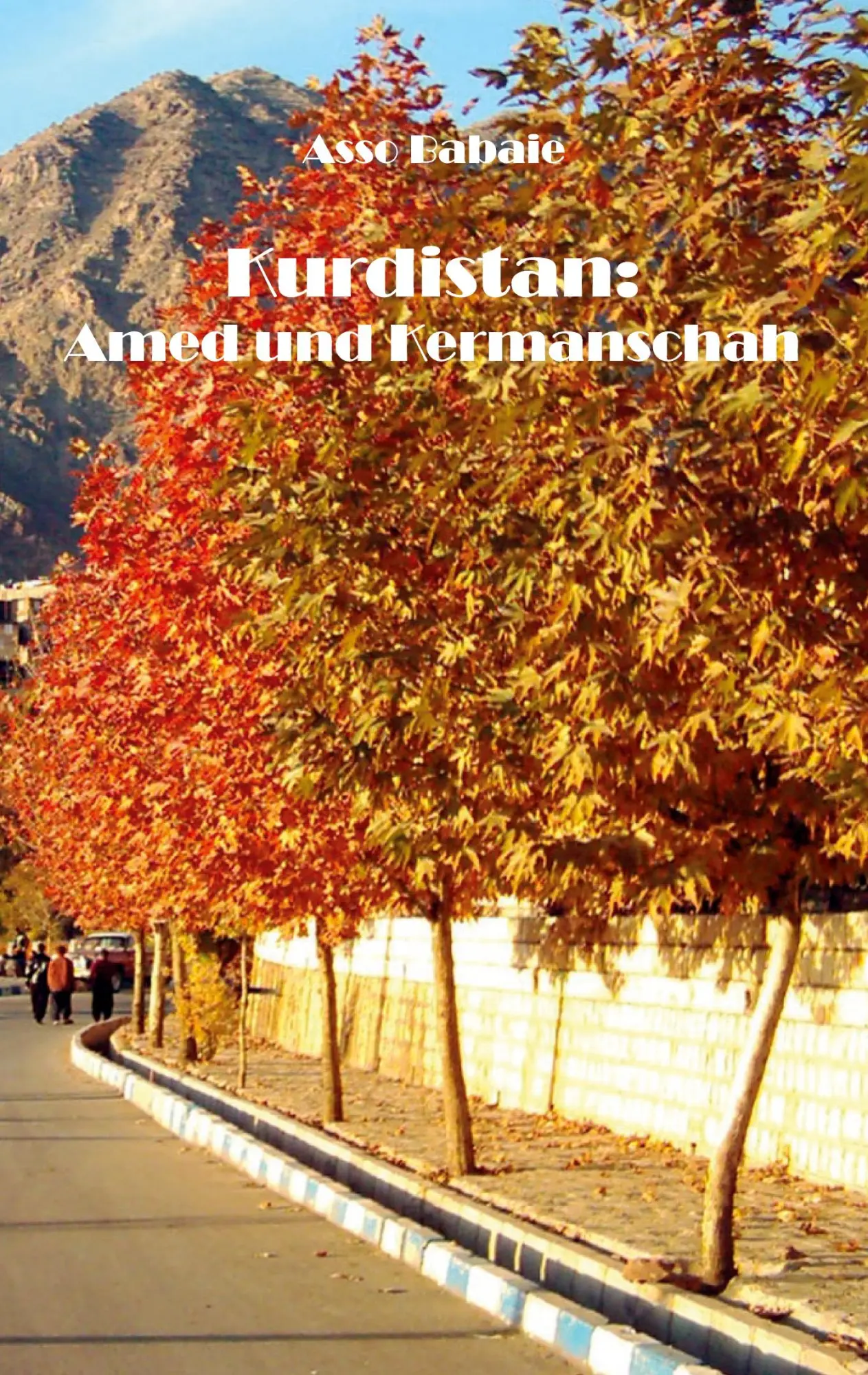 Cover: 9783988853509 | Kurdistan: Amed und Kermanschah | Asso Babaie | Taschenbuch | 50 S.