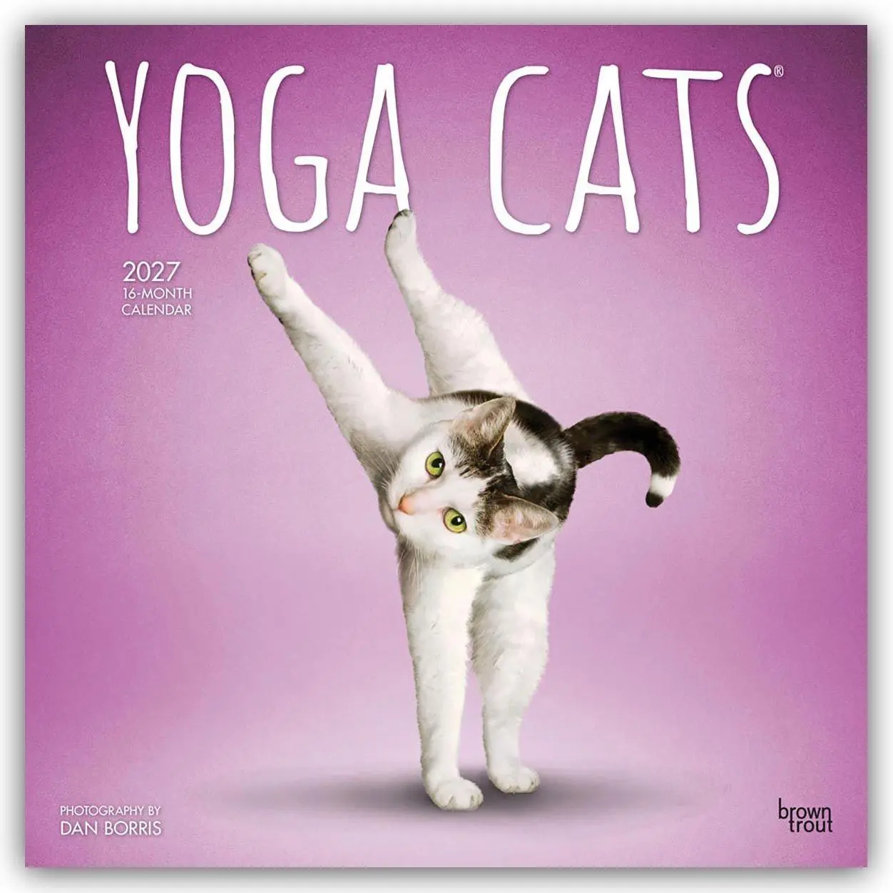 Cover: 9798330713509 | Yoga Cats - Katzen Yoga 2027 - 16-Monatskalender | Publishers | 28 S.