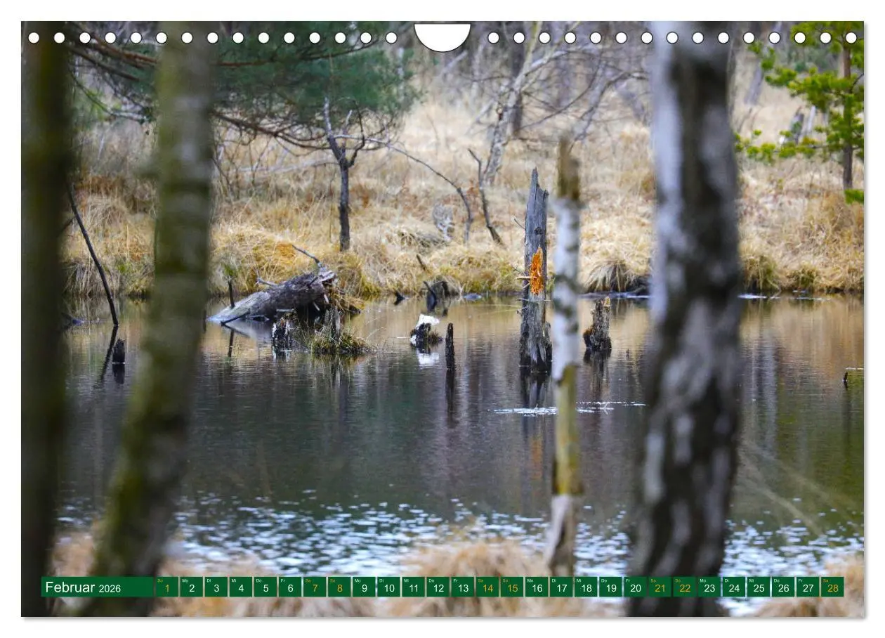 Bild: 9783457343609 | Der Loben. Im Reich der Moorgeister und Kreuzottern-...