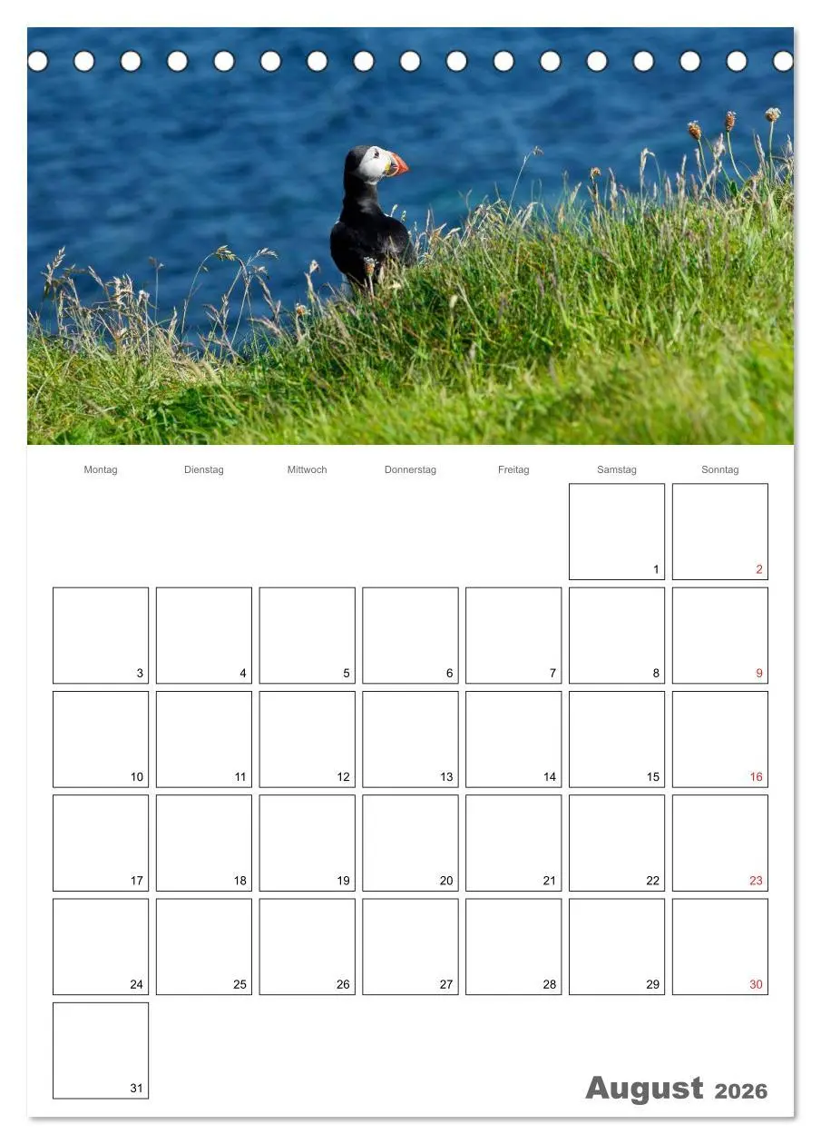 Bild: 9783516433609 | Schottland für Naturliebhaber (Tischkalender 2026 DIN A5 hoch),...