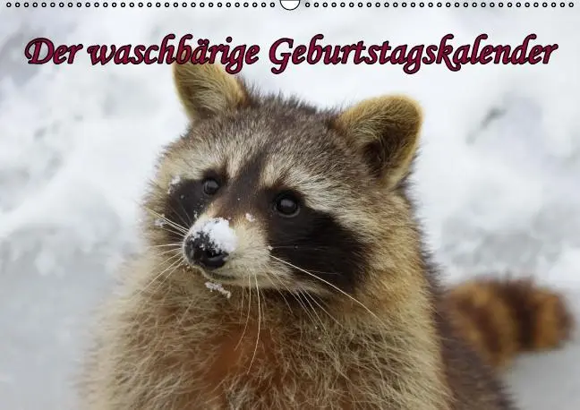 Cover: 9783660433609 | Waschbären / Geburtstagskalender (Wandkalender immerwährend DIN A2...