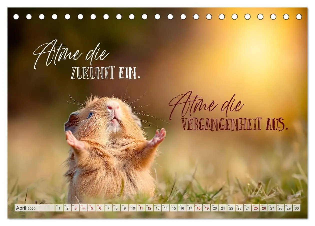 Bild: 9783516593709 | SEELENZEIT Ein Jahr voller Achtsamkeit (Tischkalender 2026 DIN A5...