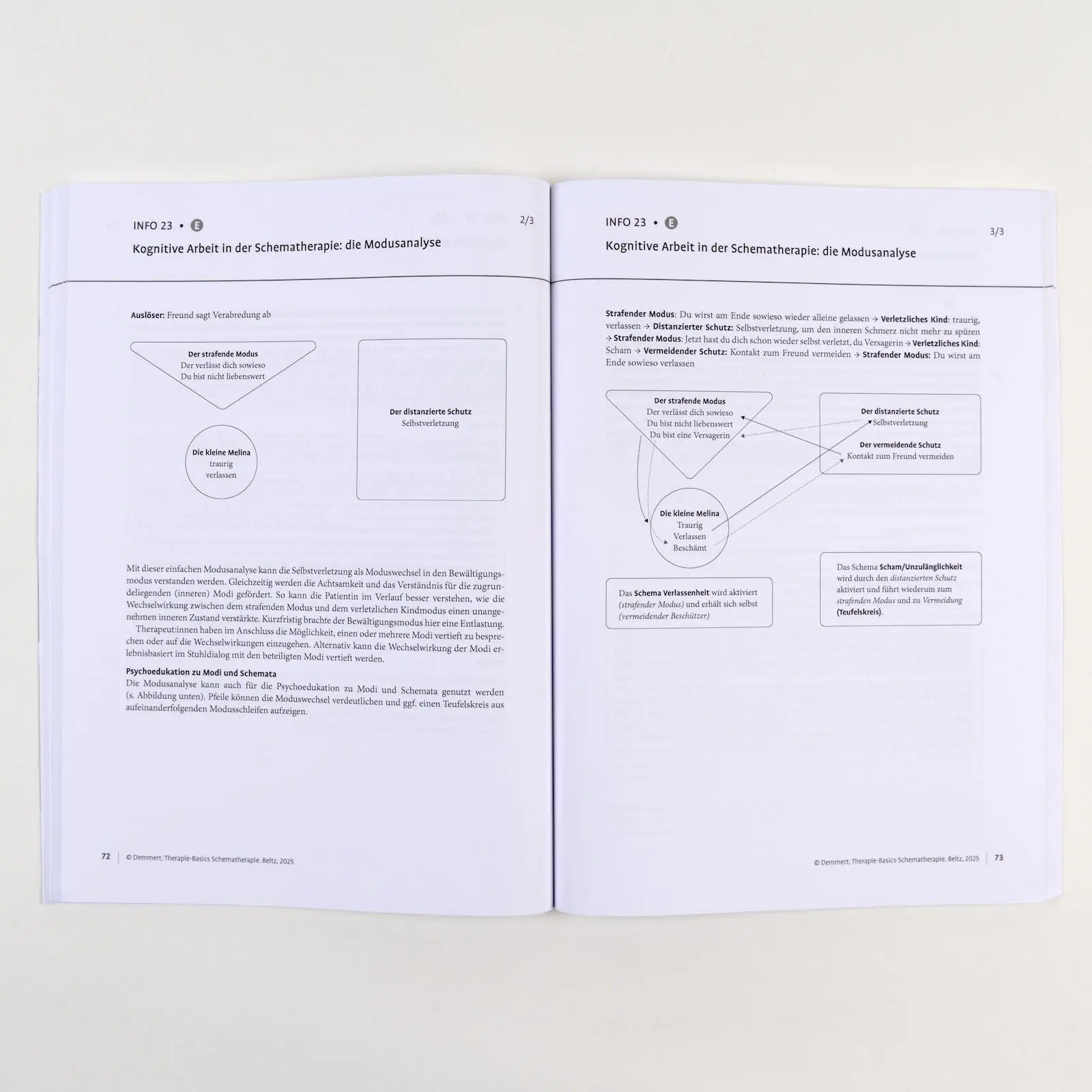 Bild: 9783621293709 | Therapie-Basics Schematherapie | Mit Online-Material | Antje Demmert