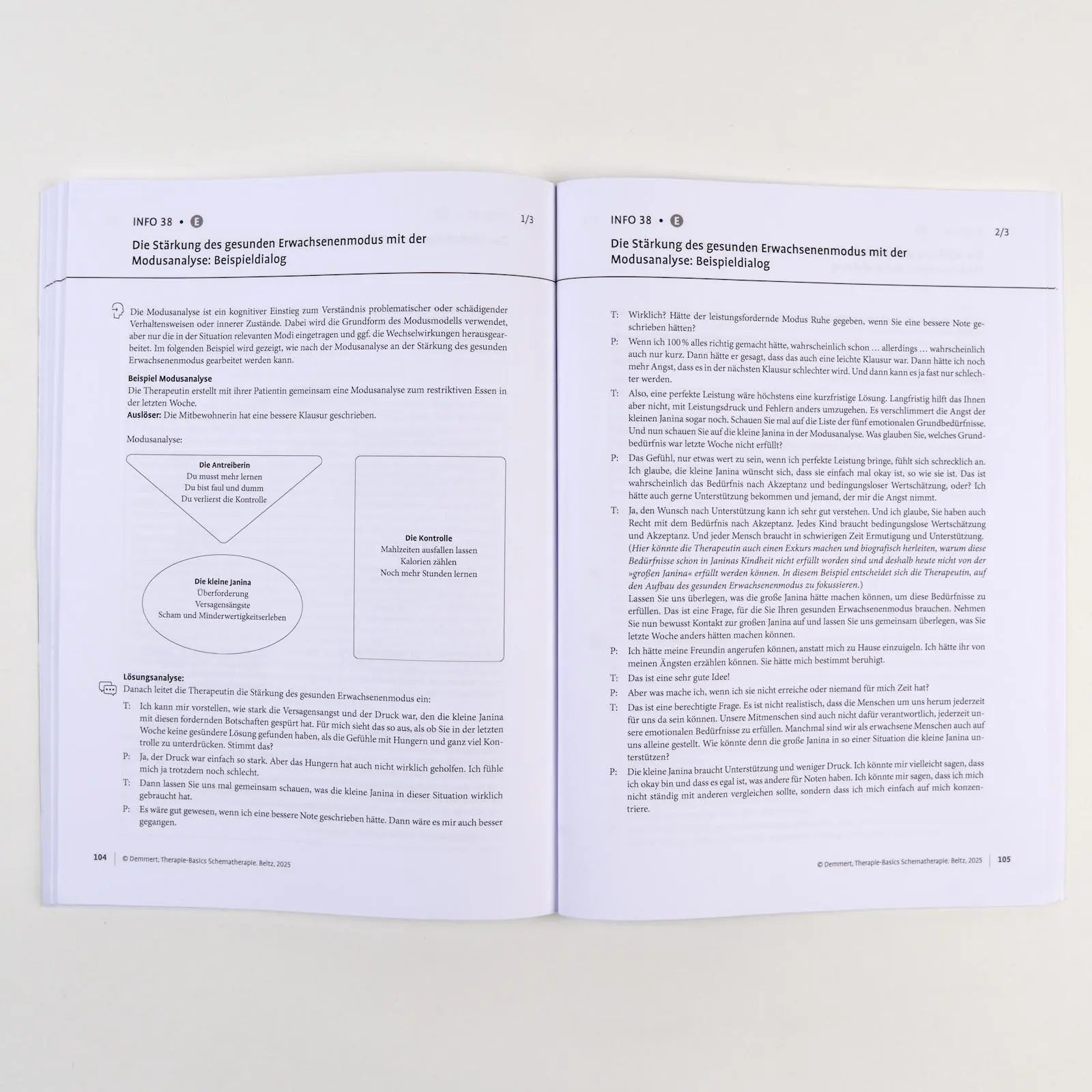 Bild: 9783621293709 | Therapie-Basics Schematherapie | Mit Online-Material | Antje Demmert