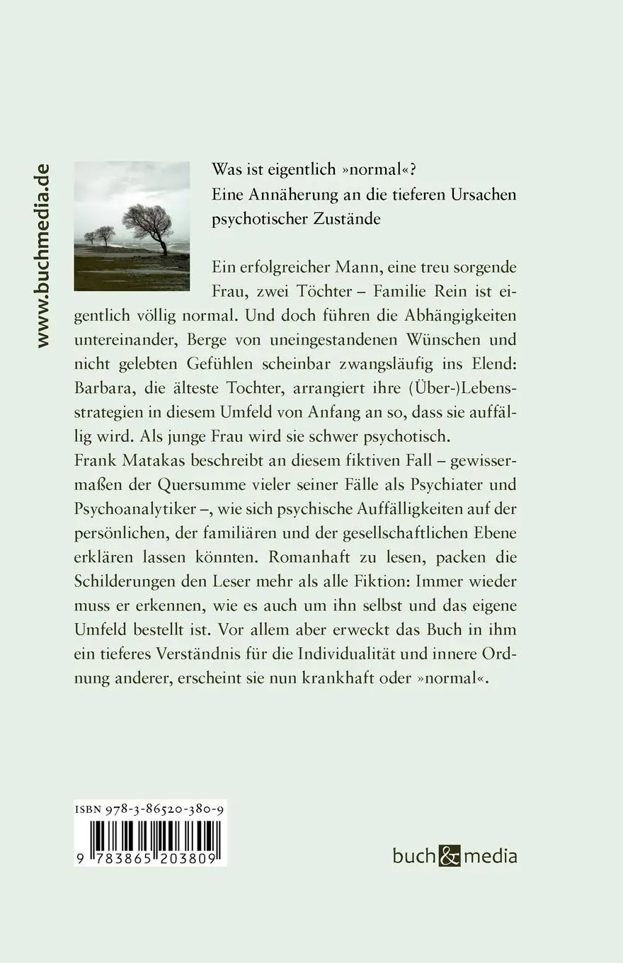 Rückseite: 9783865203809 | Familienstürme | Frank Matakas | Taschenbuch | Kartoniert / Broschiert