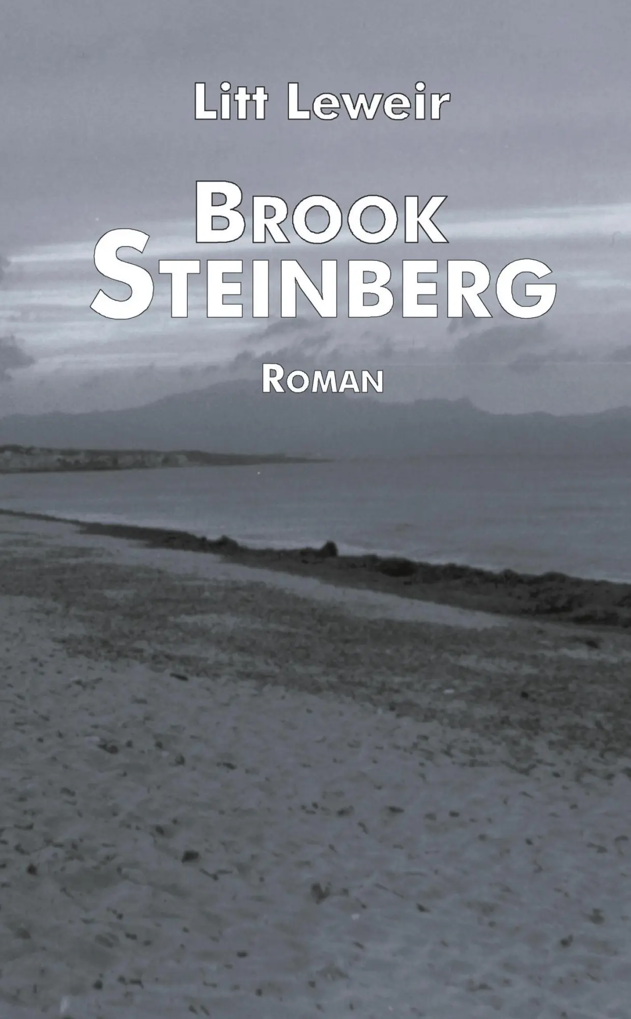Cover: 9783898113809 | Brook Steinberg | Litt Leweir | Taschenbuch | 104 S. | Deutsch | 2000