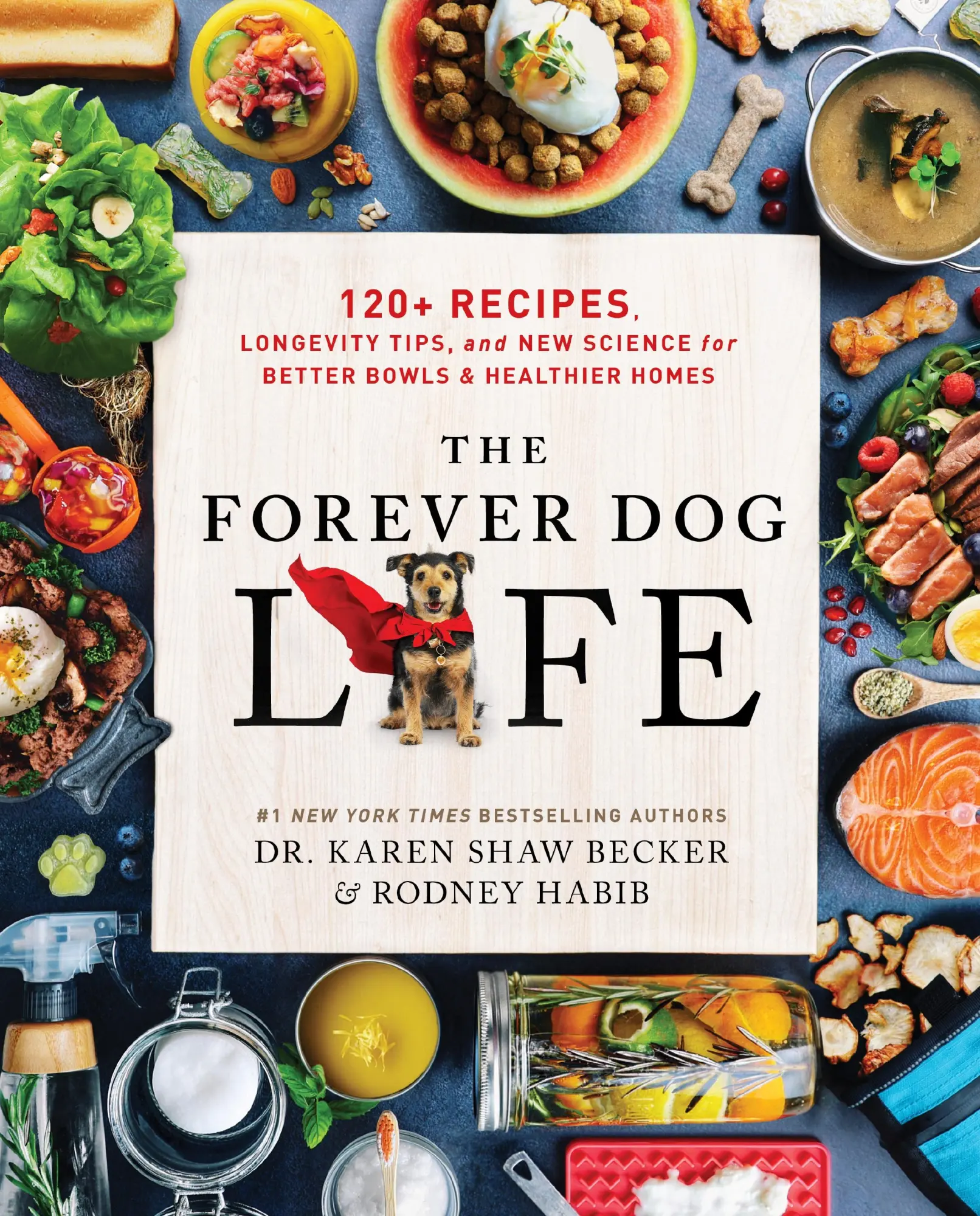 Cover: 9780063314009 | The Forever Dog Life | Rodney Habib (u. a.) | Buch | Englisch | 2024