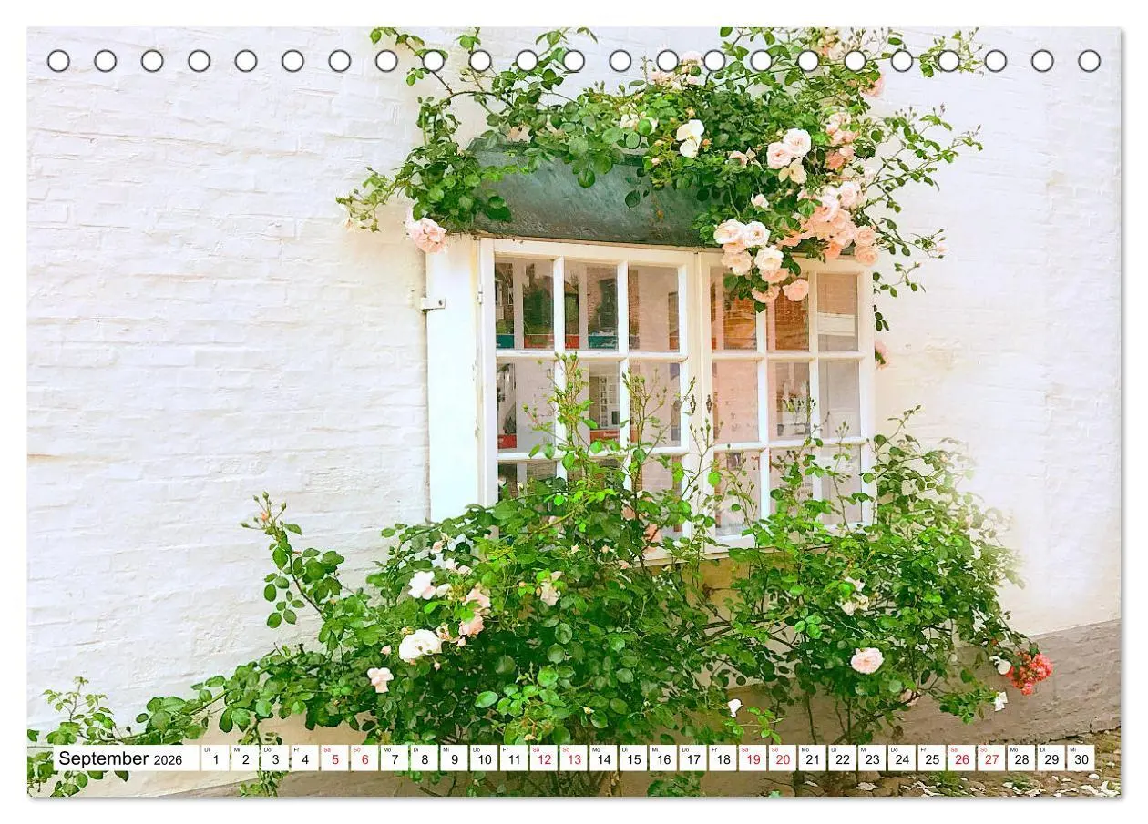 Bild: 9783457684009 | Föhr - Insel mit ganz speziellem Charme (Tischkalender 2026 DIN A5...