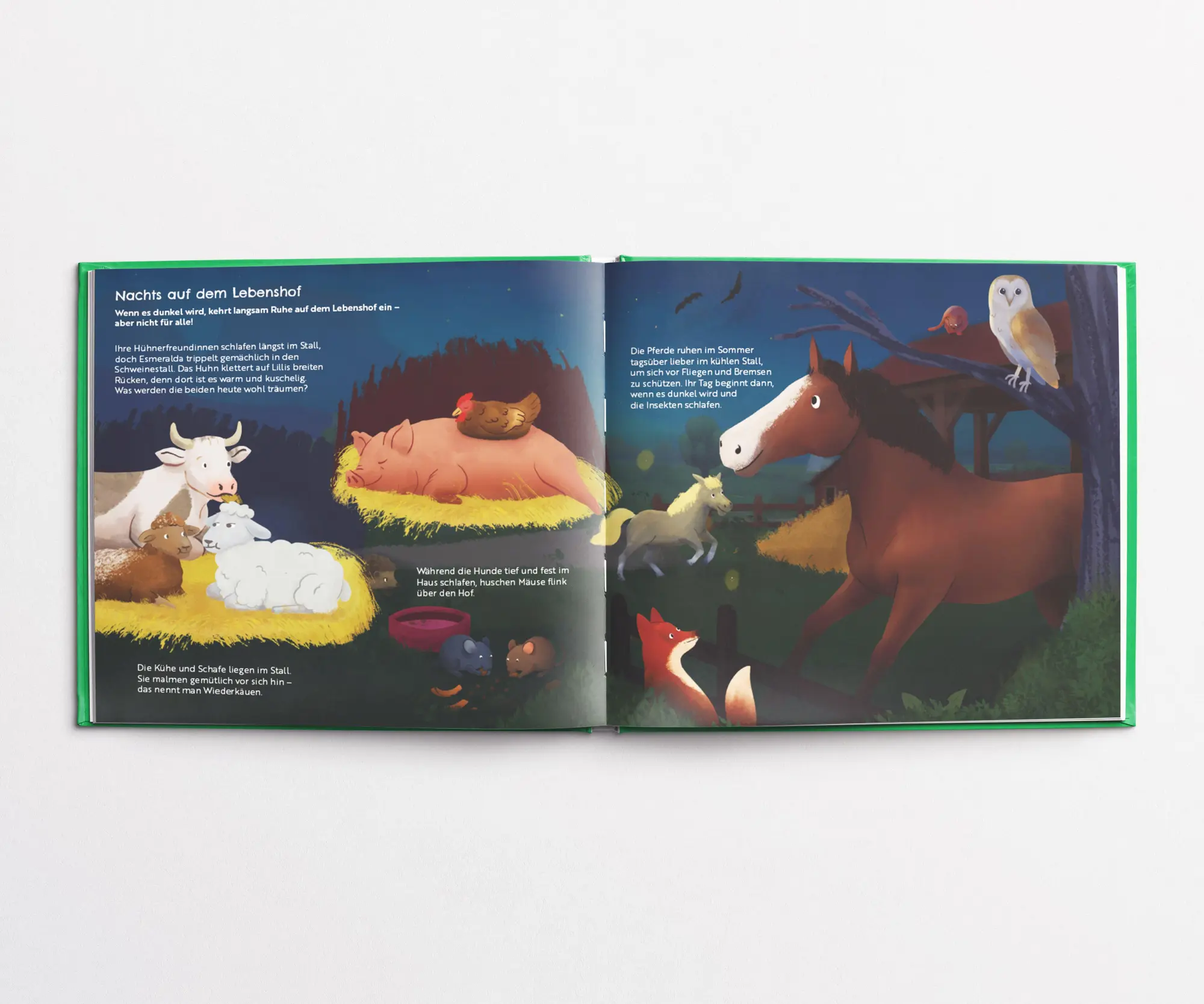 Bild: 9783982764009 | Auf dem Lebenshof | Moïra Himmelsbach | Buch | 40 S. | Deutsch | 2025