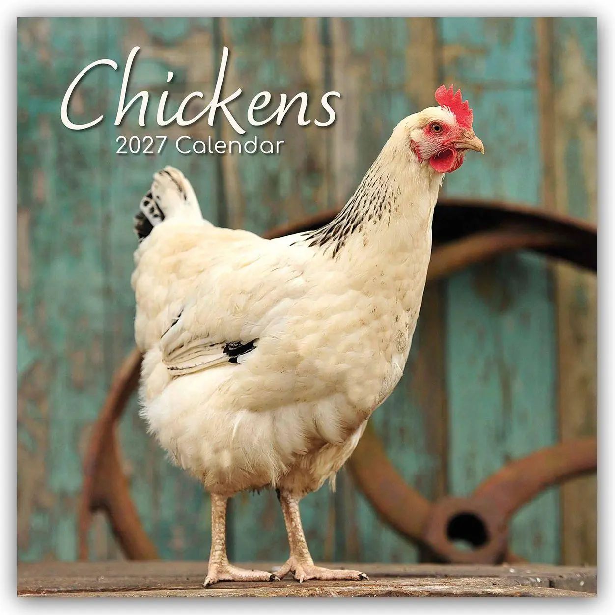 Cover: 9781805974109 | Chickens - Hühner 2027 - 16-Monatskalender | Gifted Stationery Co. Ltd