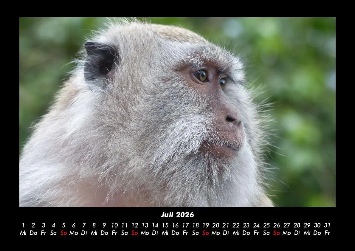 Bild: 9783695414109 | Bali 2026 Fotokalender DIN A3 | Tobias Becker | Kalender | Deutsch
