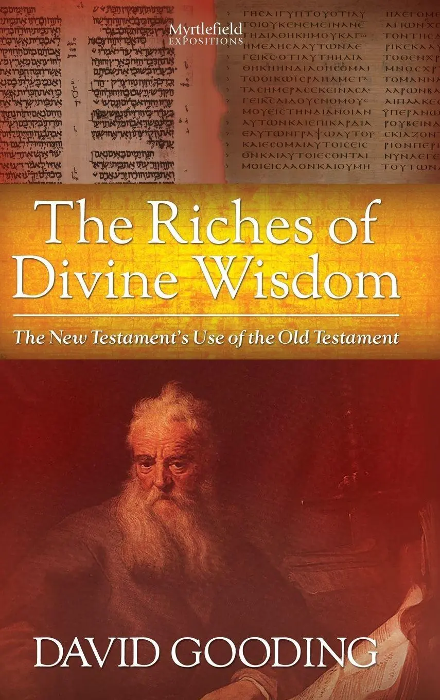 Cover: 9781874584209 | The Riches of Divine Wisdom | David W. Gooding | Buch | Englisch Cover: 9781874584209 | The Riches of Divine Wisdom | David W. Gooding | Buch | Englisch