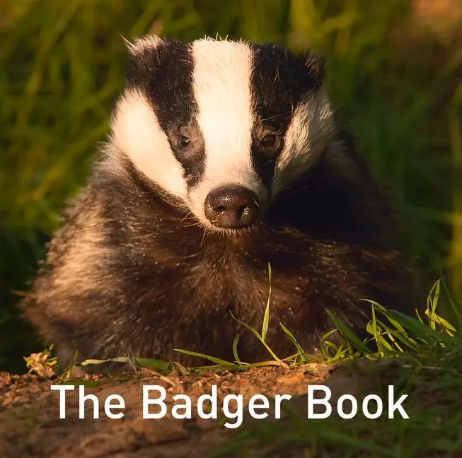 Cover: 9781913634209 | Nature Book Series: The Badger Book | Jo Byrne | Buch | Gebunden