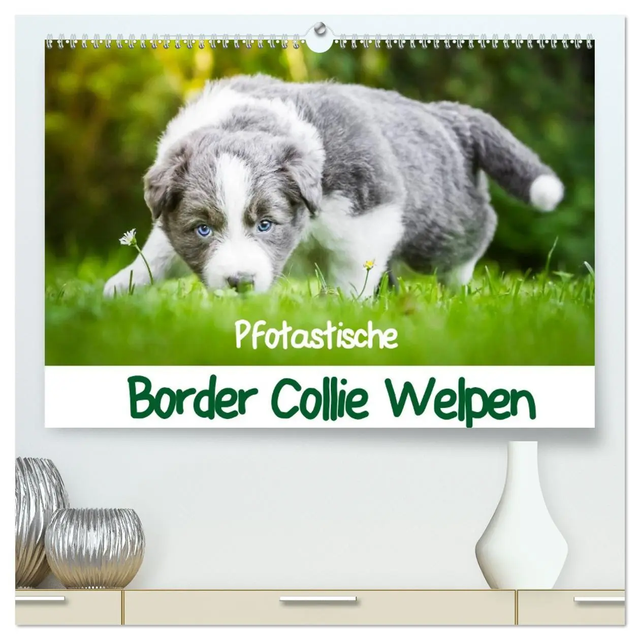 Cover: 9783516064209 | Pfotastische Border Collie Welpen (hochwertiger Premium...