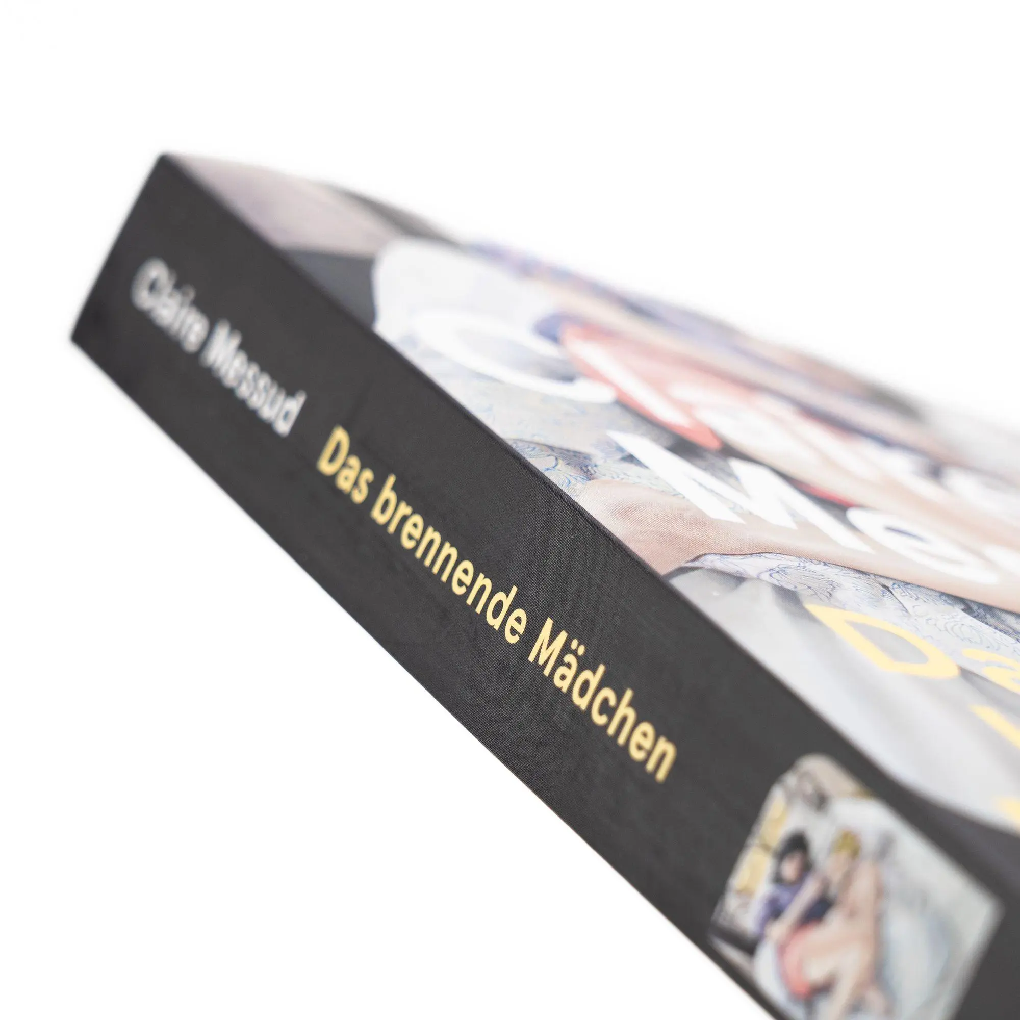 Bild: 9783312014309 | Das brennende Mädchen | Claire Messud | Taschenbuch | 272 S. | Deutsch