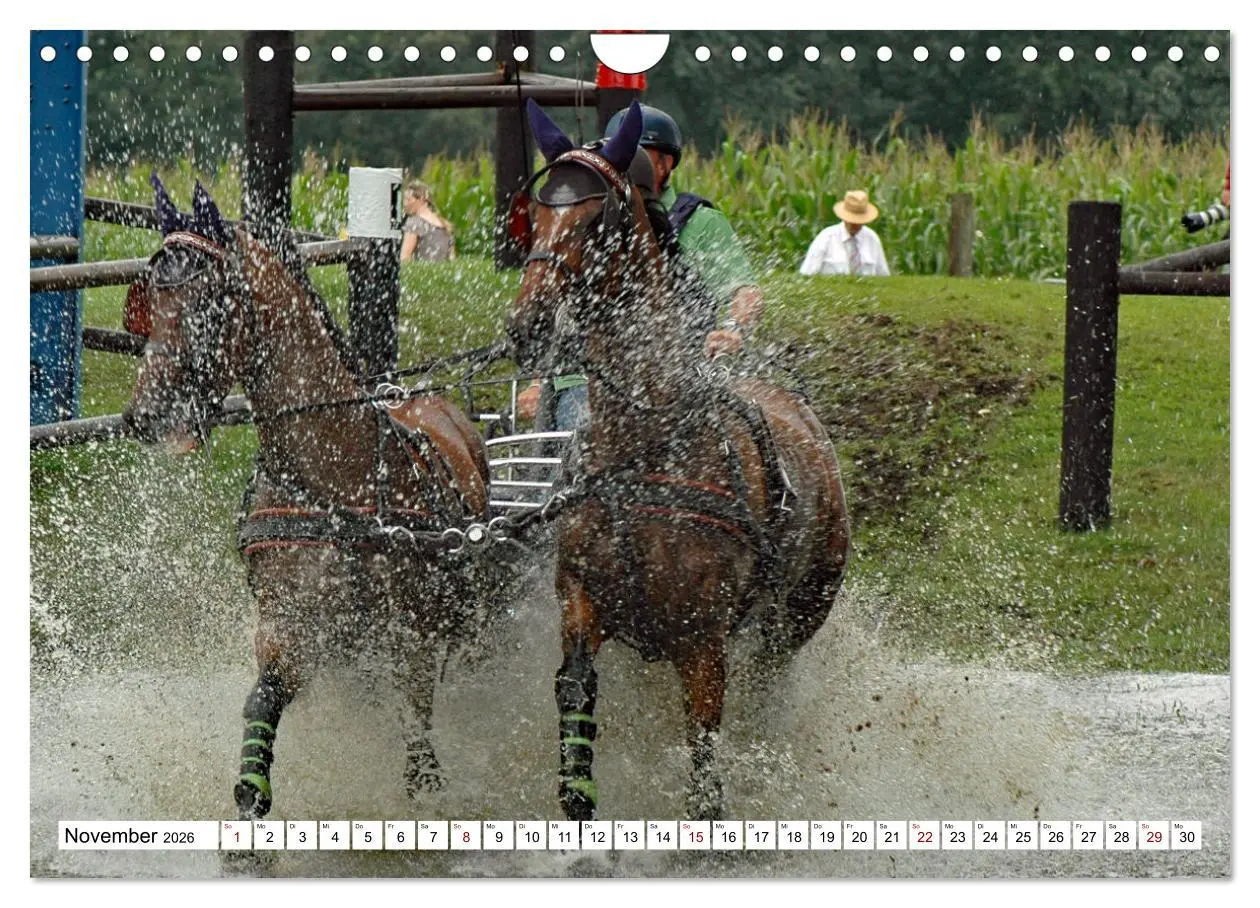 Bild: 9783457584309 | Faszination Fahrsport - Zweispänner im Galopp durch den Parcour...