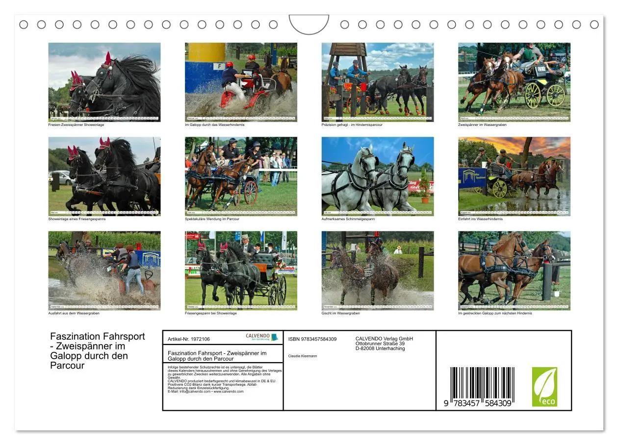 Bild: 9783457584309 | Faszination Fahrsport - Zweispänner im Galopp durch den Parcour...