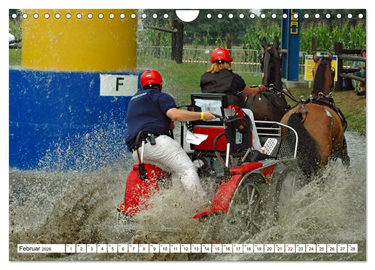 Bild: 9783457584309 | Faszination Fahrsport - Zweispänner im Galopp durch den Parcour...
