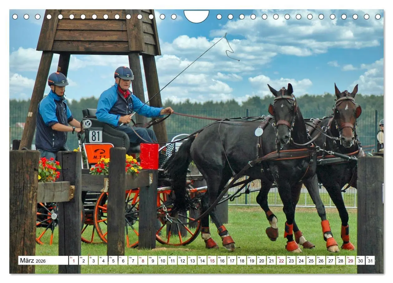 Bild: 9783457584309 | Faszination Fahrsport - Zweispänner im Galopp durch den Parcour...