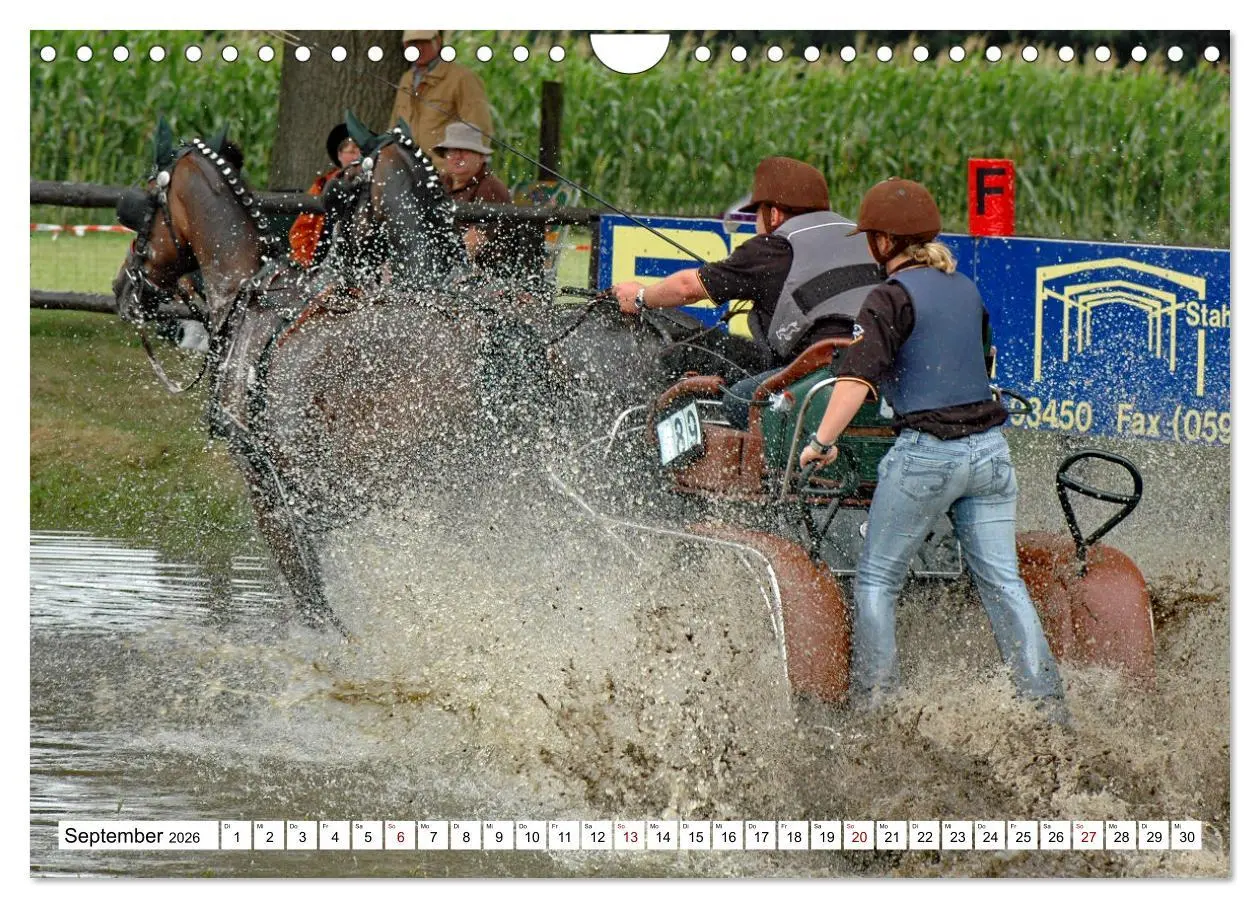 Bild: 9783457584309 | Faszination Fahrsport - Zweispänner im Galopp durch den Parcour...
