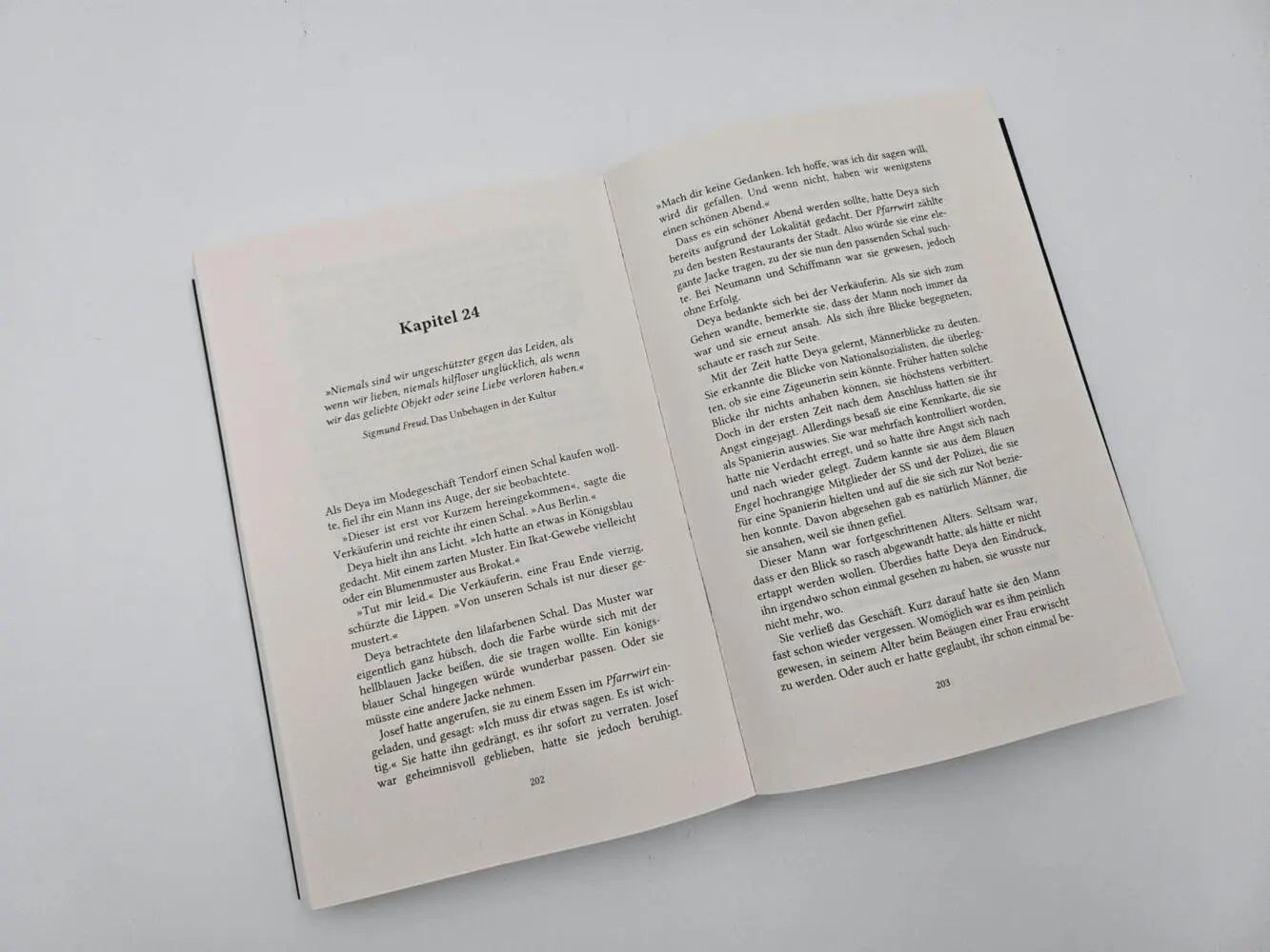 Bild: 9783492064309 | The Vienna Writers - Sie schrieben um ihr Leben | J. C. Maetis | Buch