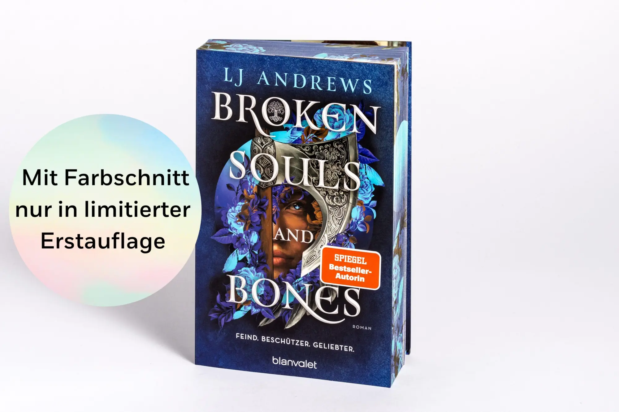 Bild: 9783734164309 | Broken Souls and Bones - Feind. Beschützer. Geliebter. | Lj Andrews
