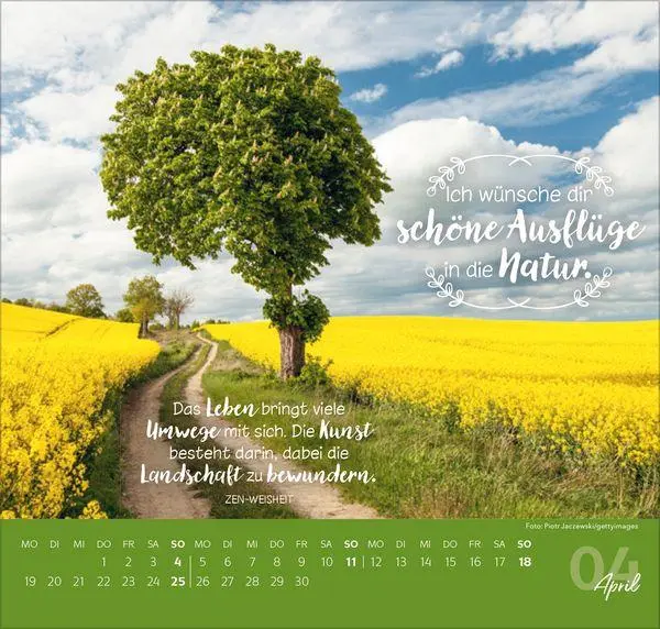 Bild: 9783819304309 | Die allerbesten Wünsche für dich 2027 | Verlag Korsch | Kalender