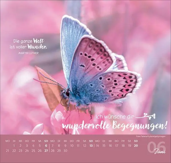 Bild: 9783819304309 | Die allerbesten Wünsche für dich 2027 | Verlag Korsch | Kalender