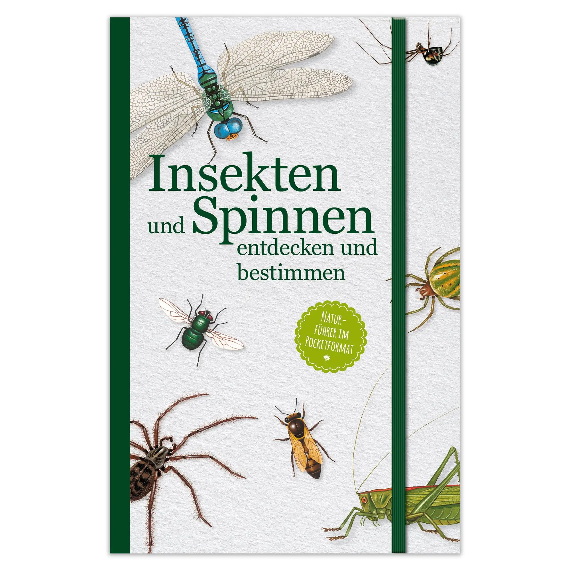 Cover: 9783963474309 | Insekten und Spinnen entdecken und bestimmen | Taschenbuch | 128 S.