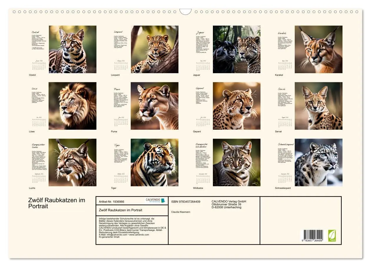 Bild: 9783457264409 | Zwölf Raubkatzen im Portrait (Wandkalender 2026 DIN A2 quer),...