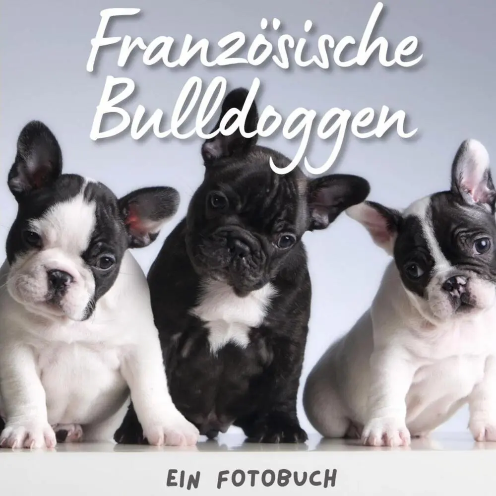 Cover: 9783750514409 | Französische Bulldoggen | Ein Fotobuch | Bibi Hübsch | Taschenbuch