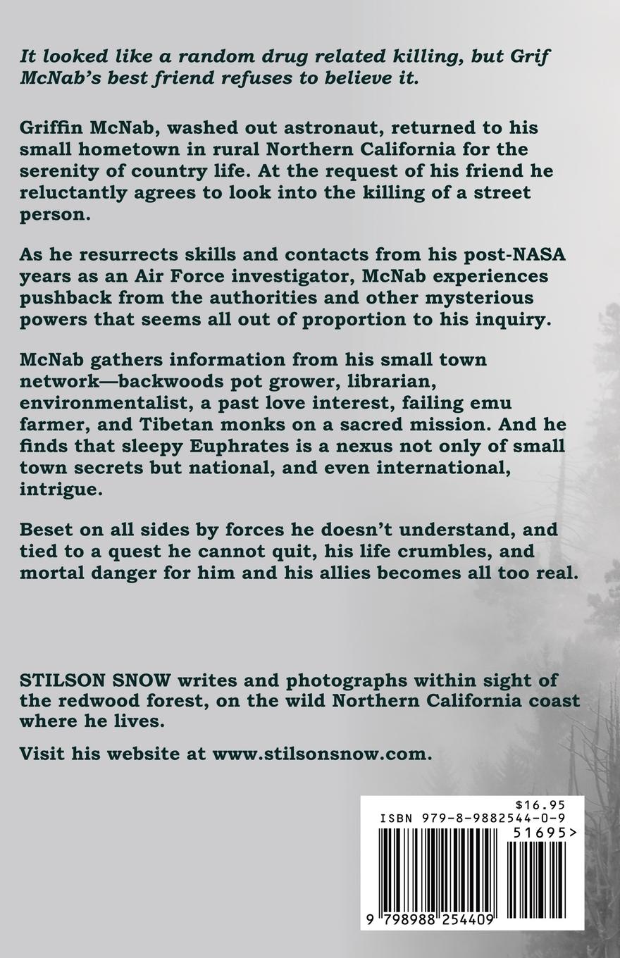 Rückseite: 9798988254409 | Wake Turbulence | Stilson Snow | Taschenbuch | Englisch | 2023
