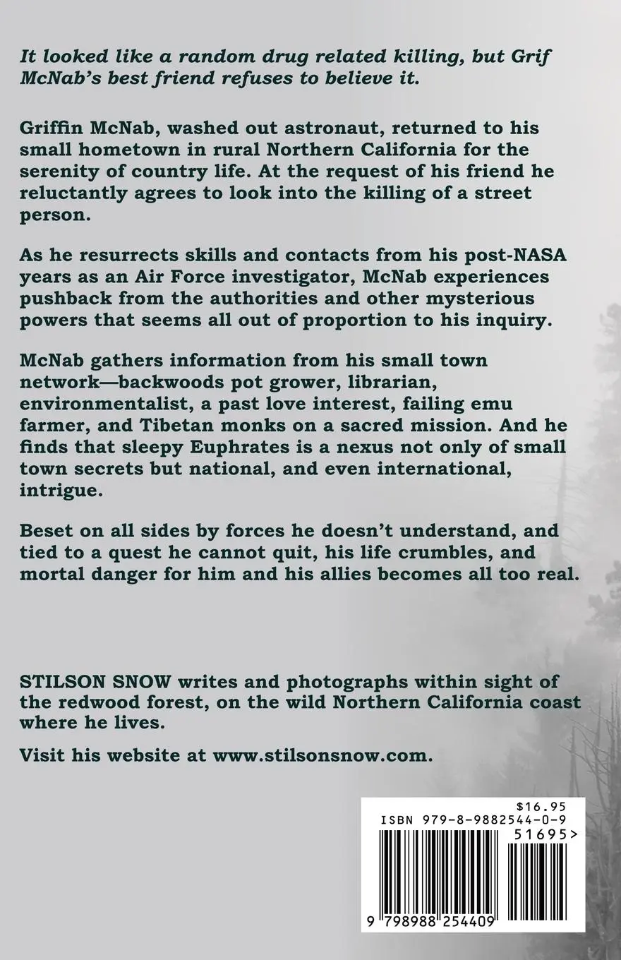 Rückseite: 9798988254409 | Wake Turbulence | Stilson Snow | Taschenbuch | Englisch | 2023