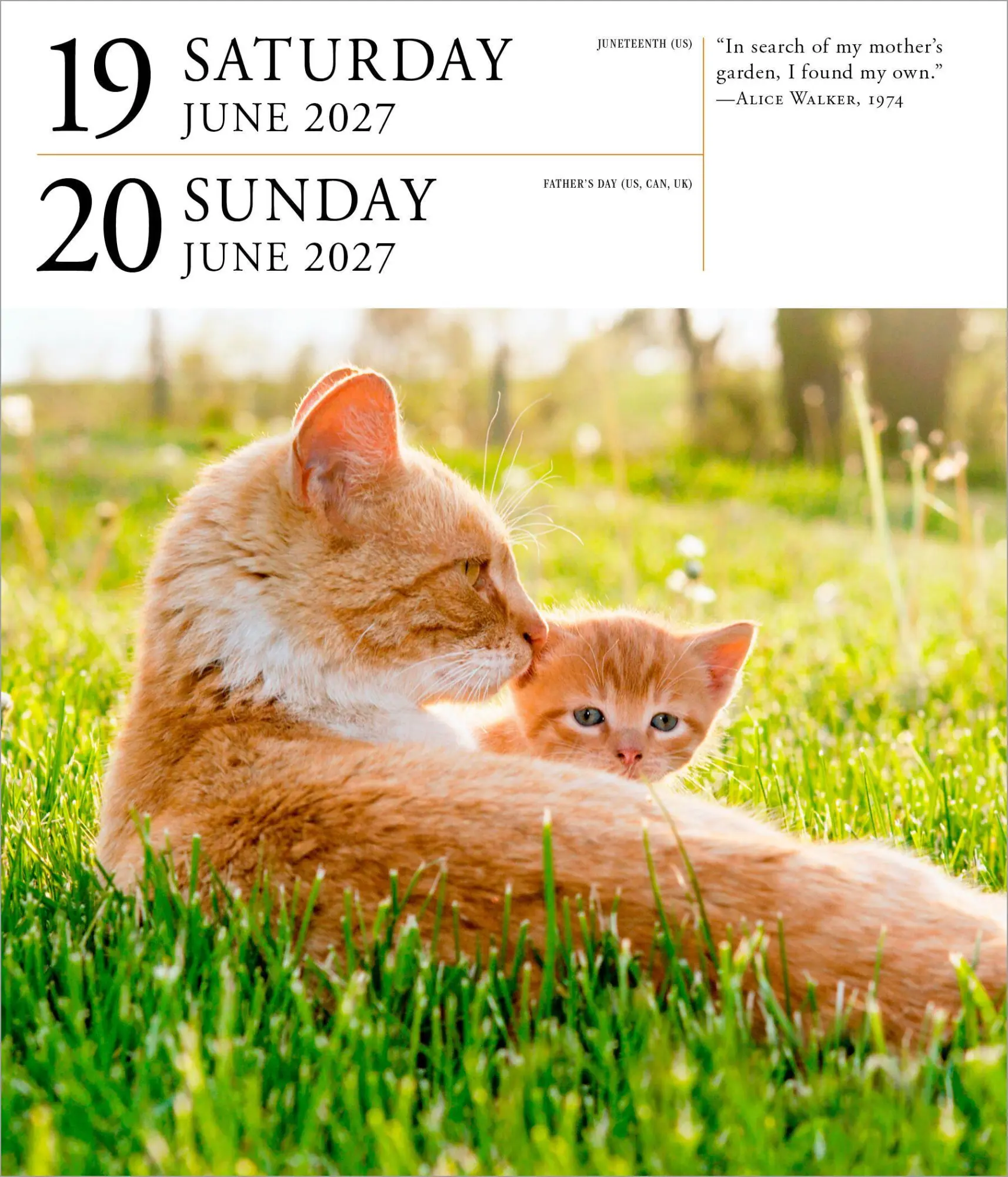 Bild: 9781523534609 | Cat Page-A-Day® Gallery Calendar Refill Pack 2027 | Workman Calendars