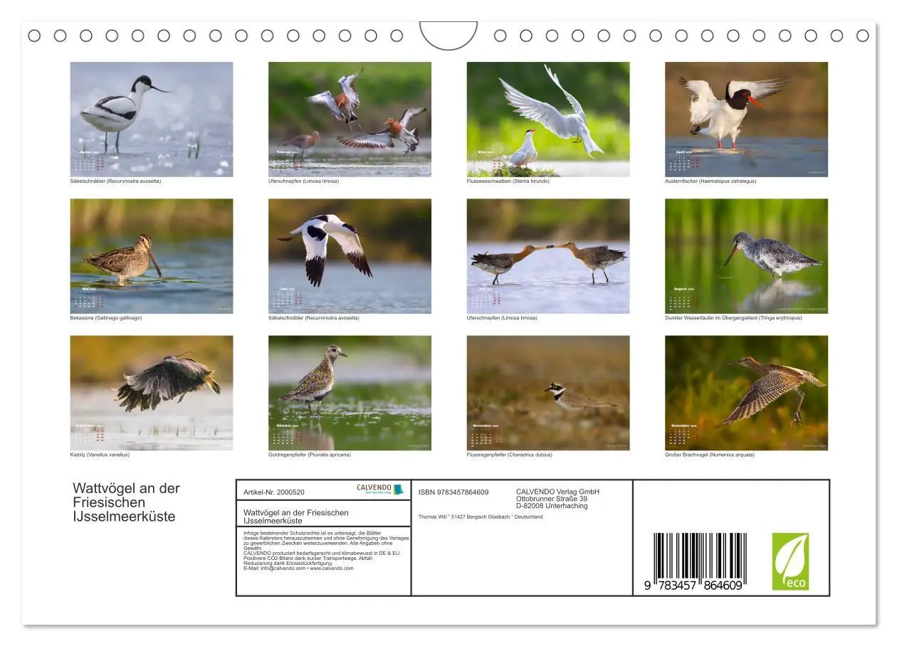 Bild: 9783457864609 | Wattvögel an der Friesischen IJsselmeerküste (Wandkalender 2026 DIN...