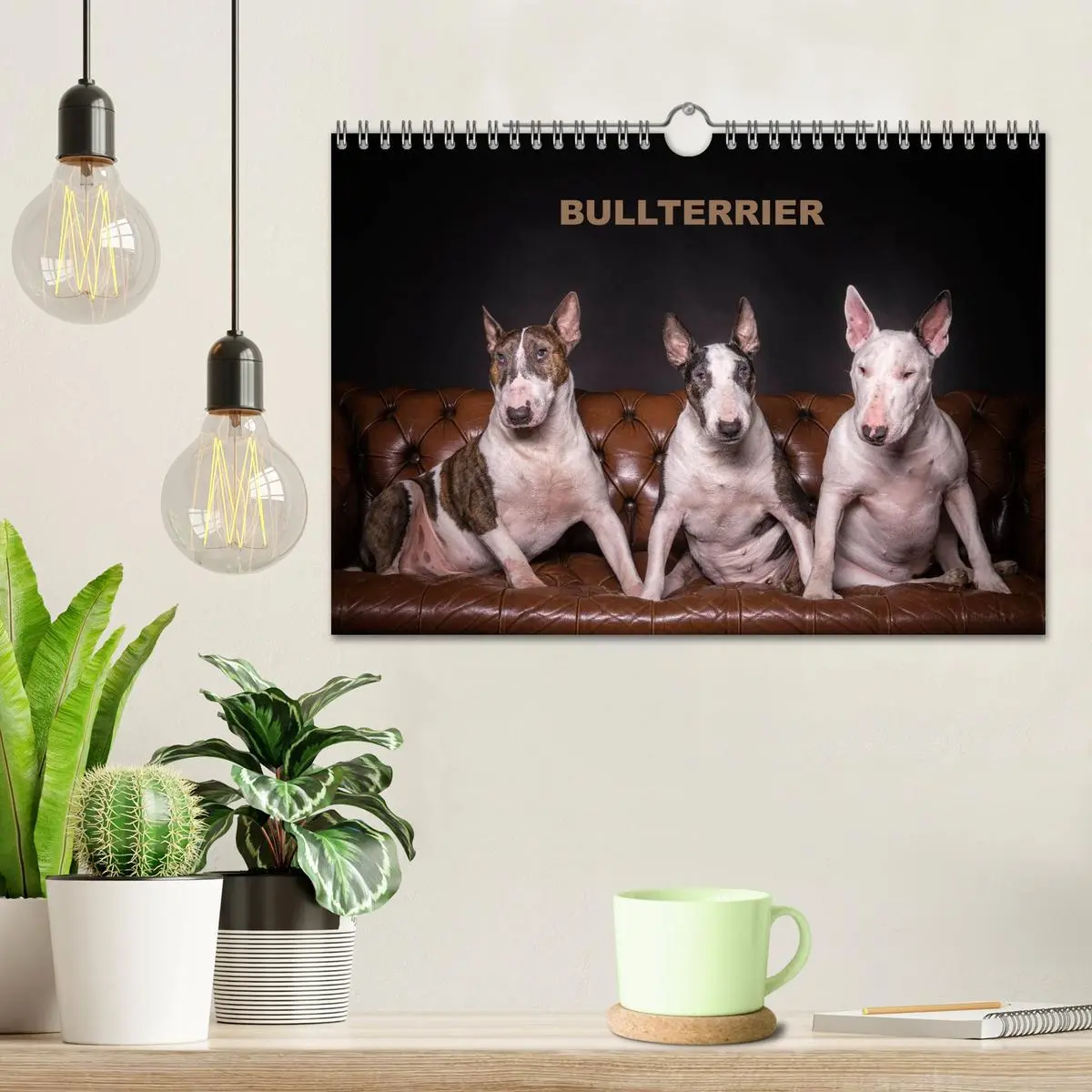 Bild: 9783516024609 | Bullterrier (Wandkalender 2026 DIN A4 quer), CALVENDO Monatskalender