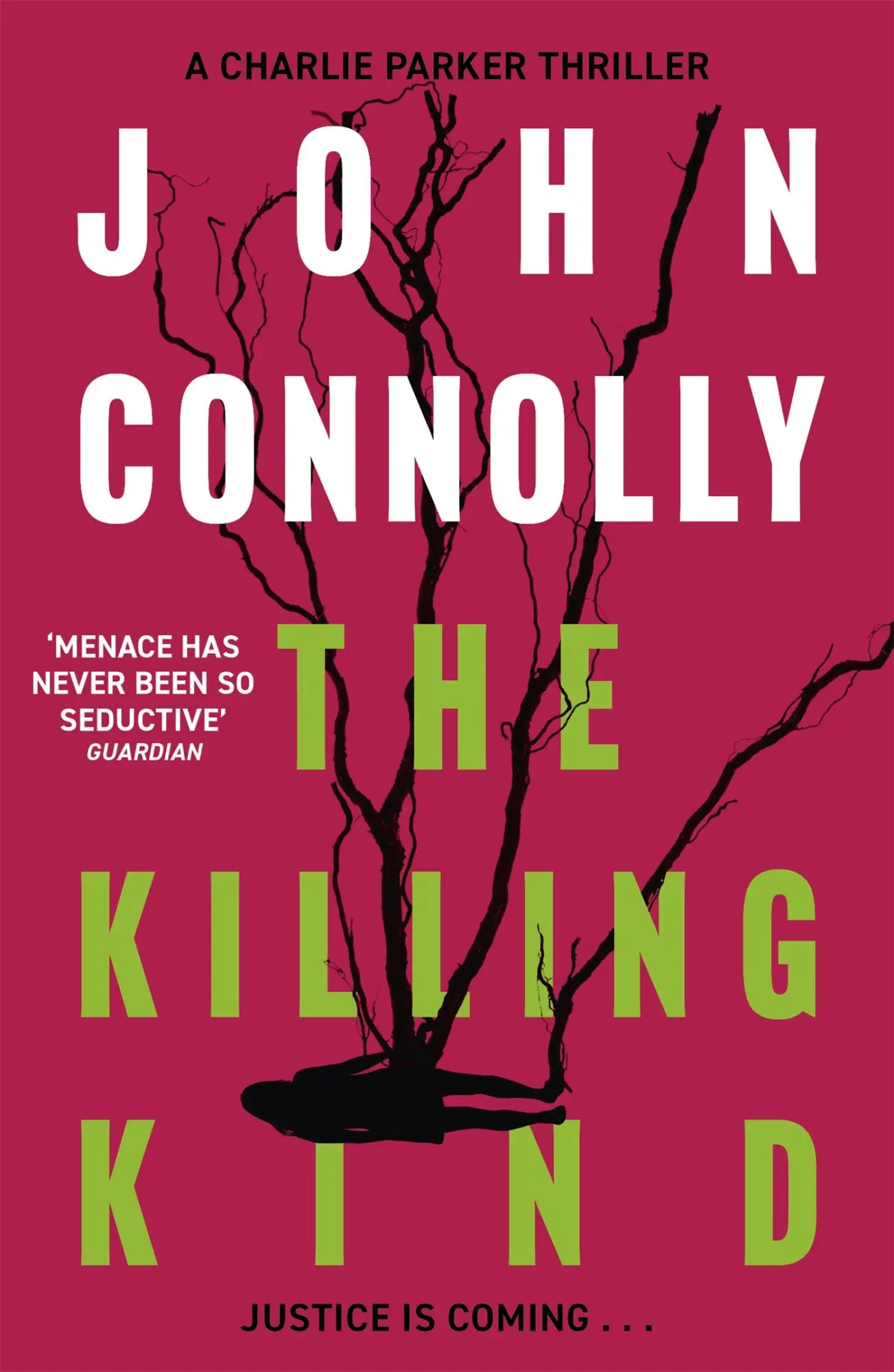 Cover: 9781444704709 | The Killing Kind | John Connolly | Taschenbuch | Englisch | 2002