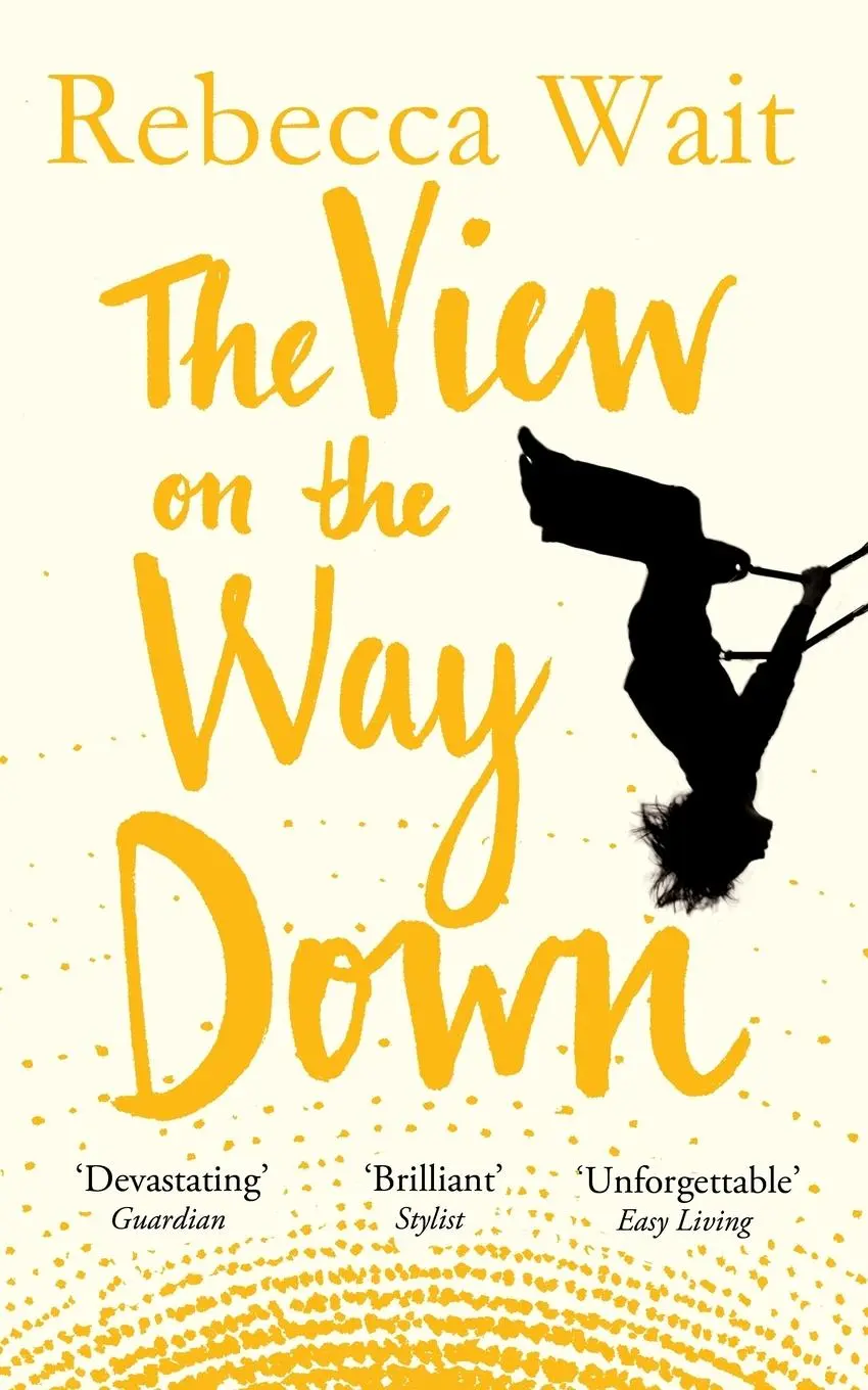 Cover: 9781447224709 | The View on the Way Down | Rebecca Wait | Taschenbuch | 320 S. | 2014