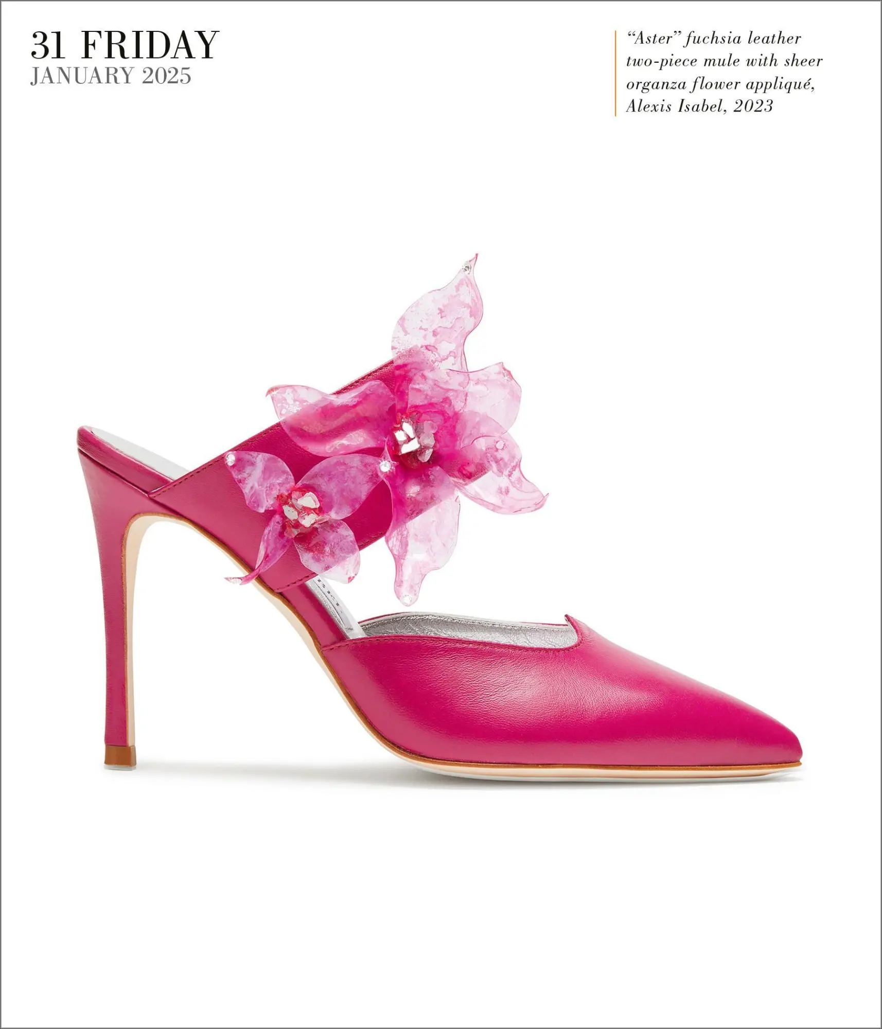 Bild: 9781523524709 | Shoes Page-A-Day(r) Gallery Calendar 2025 | Workman Calendars | 2025