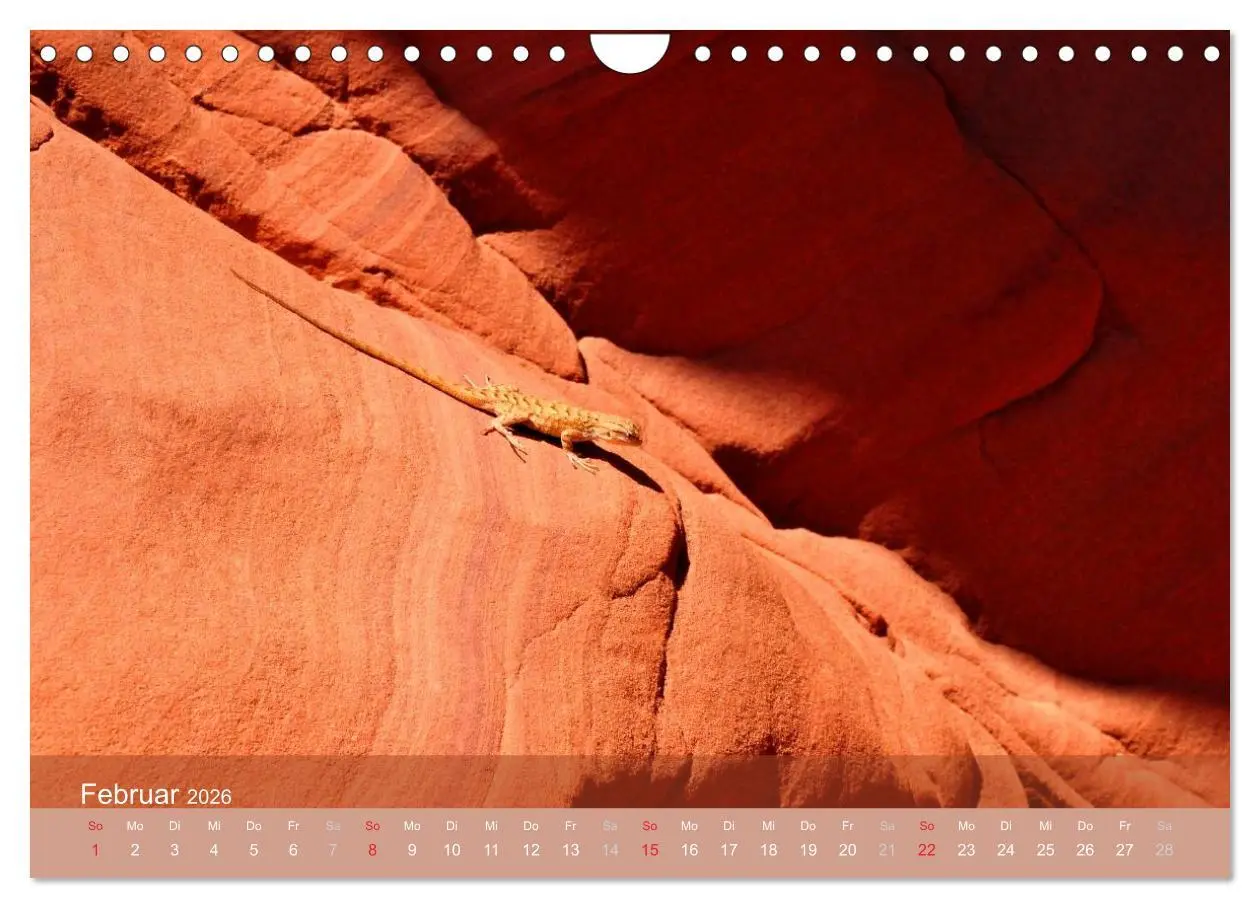 Bild: 9783516184709 | Der Antelope Canyon (Wandkalender 2026 DIN A4 quer), CALVENDO...