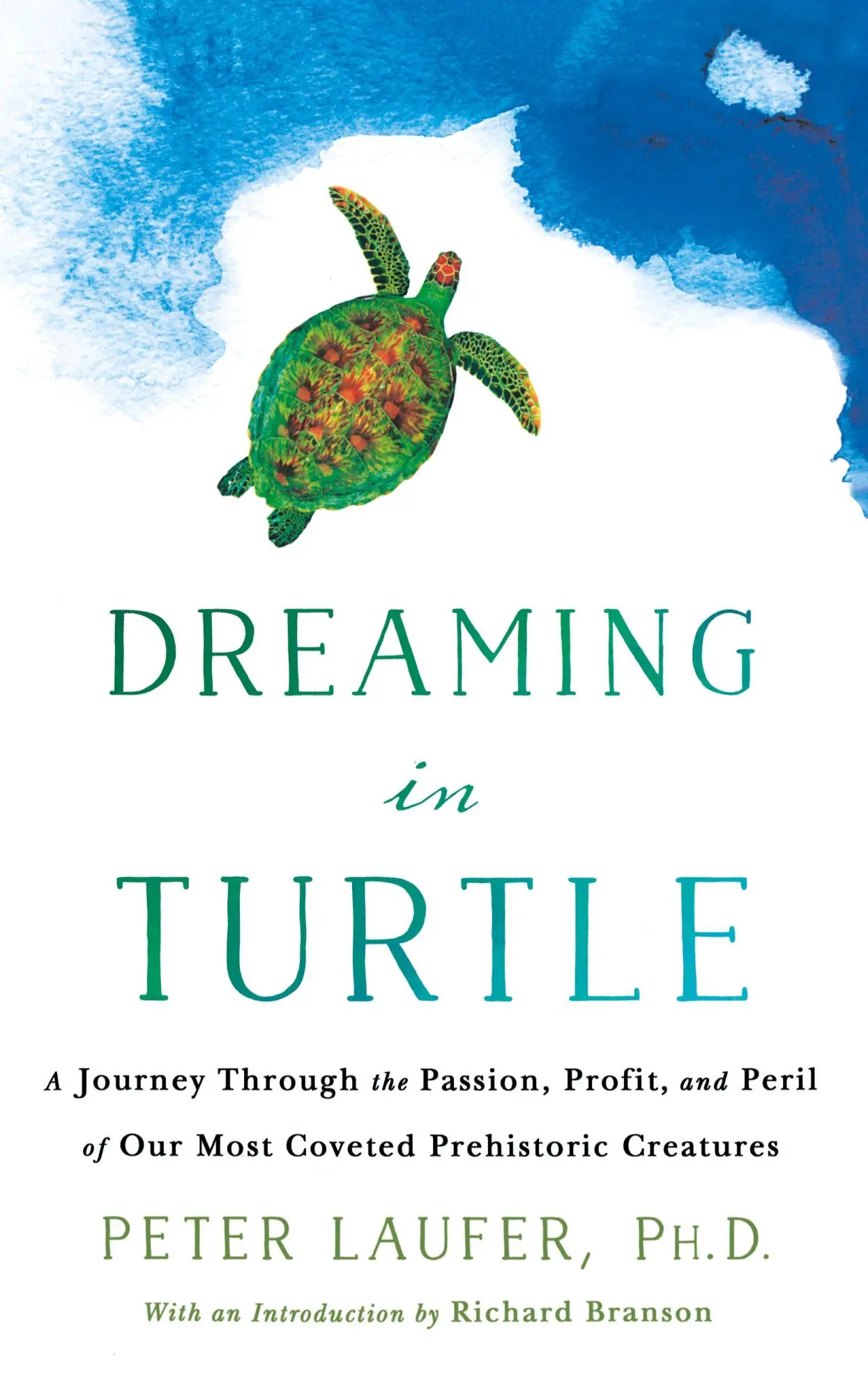 Cover: 9781250894809 | Dreaming in Turtle | Peter Laufer | Taschenbuch | Englisch | 2018